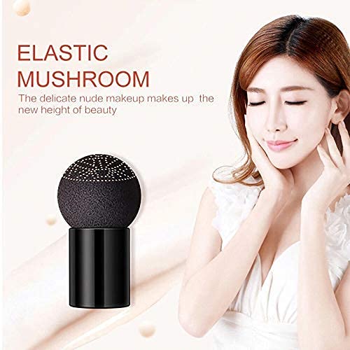 TYAGEN-II Sunisa 3 in 1 CC and BB Water Proof Foundation Concealer Cream with Air Cushion Mushroom - Binnoor Collection